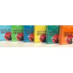 AMERICAN SPIRITS CARTON